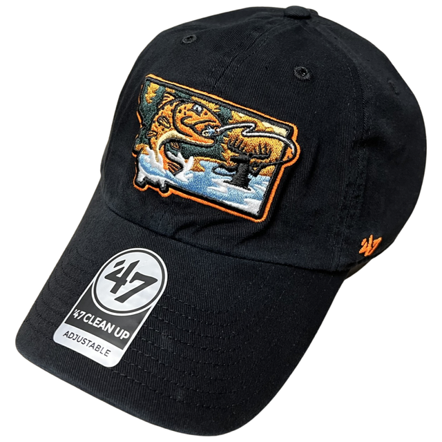 PH Caps | Missoula Paddleheads Hats & Caps | Missoula Osprey Cap