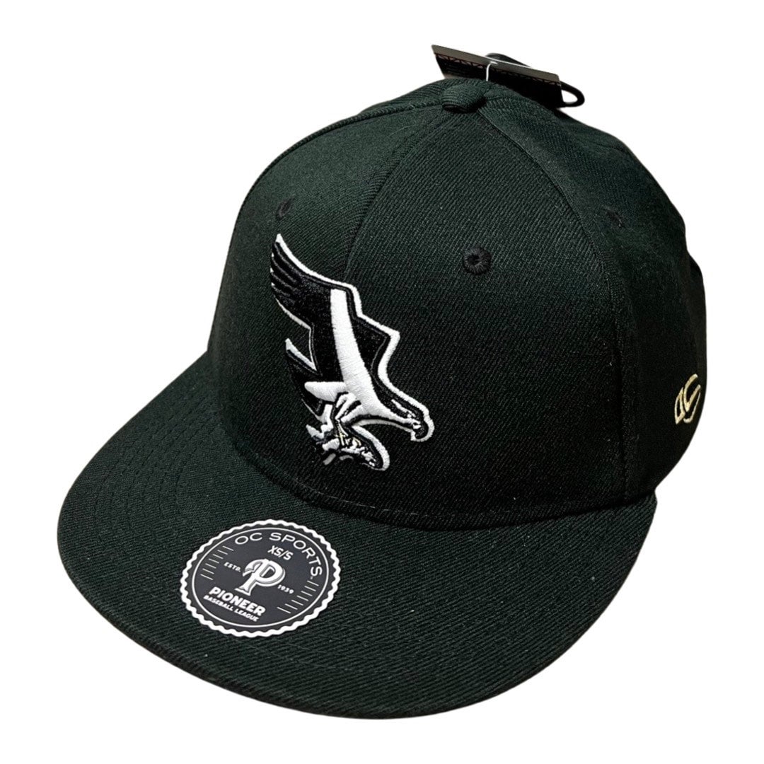 Philadelphia Eagles Mitchell & Ness Youth Team Script Snapback Hat -  Black/Midnight Green